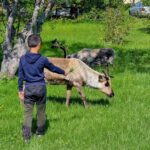 Tromsø: Sommaroy Fjord Tour with Lunch Option - Why This Tour Is Worth Your Time