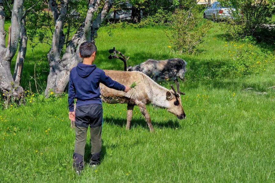 Tromsø: Sommaroy Fjord Tour with Lunch Option - Why This Tour Is Worth Your Time