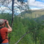 Tromsø Street to Summit: Fløya Mountain Guided Hike - Practical Details and Tips