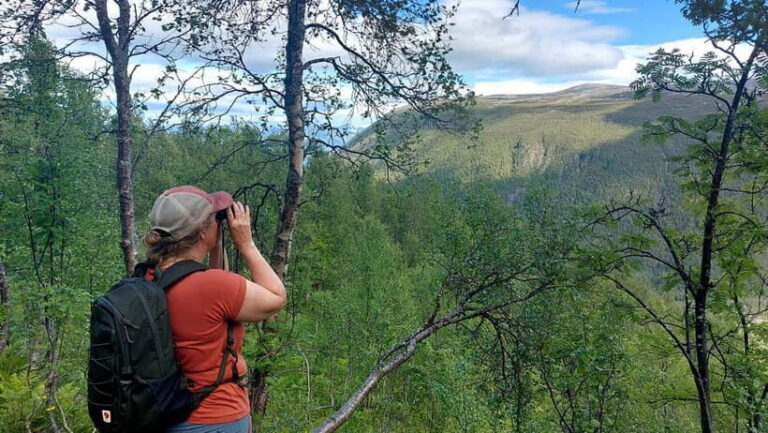 Tromsø Street to Summit: Fløya Mountain Guided Hike - Practical Details and Tips