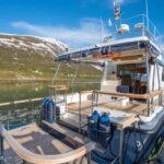 Tromsø: Whale Watching VIP Boat Tour with Lunch - What Makes This Tour Special?