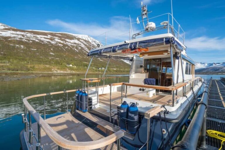 Tromsø: Whale Watching VIP Boat Tour with Lunch - What Makes This Tour Special?
