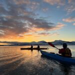 Tromsø: Winter Sea Kayaking Tour with Wildlife Sightings - The Practical Side: Logistics and Value