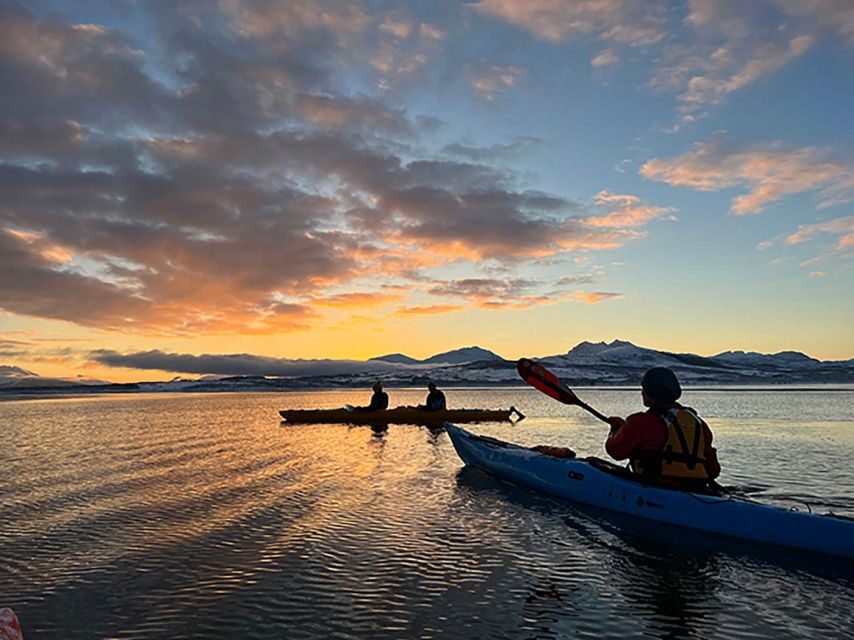 Tromsø: Winter Sea Kayaking Tour with Wildlife Sightings - The Practical Side: Logistics and Value