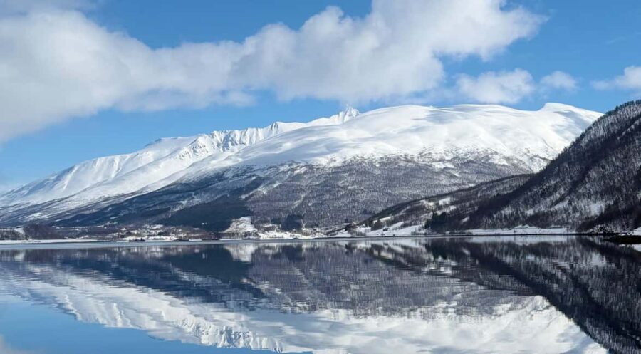 Tromsøs Top-Rated Fjord & Fishing Cruise  Lunch included - The Sum Up