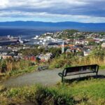 Trondheim: City Highlights Bus and Walking Tour - What to Expect from the Tour