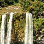 Trou-aux-Cerfs - Grand Bassin - 7 Coloured Earth - Wild South Guided Tour - Introduction: Why This Tour Is Worth Your Time