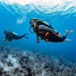 Try Dive - PADI Discover Scuba Diving in Tenerife - Why the Price Offers Good Value
