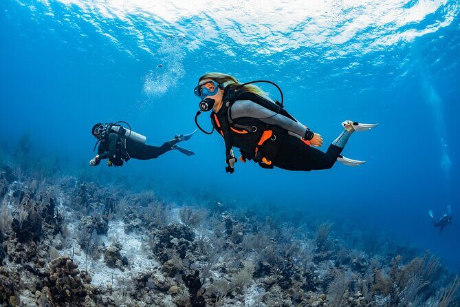Try Dive - PADI Discover Scuba Diving in Tenerife - Why the Price Offers Good Value