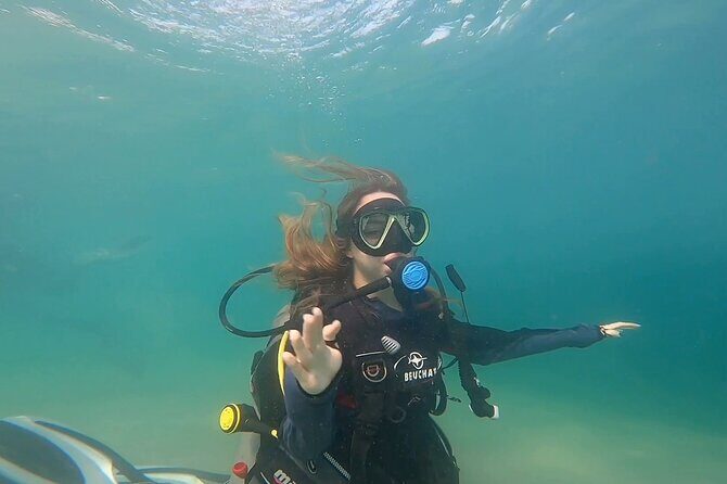 Try Scuba dive in Qatar - Practical Details and Considerations
