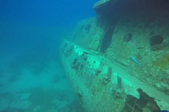 Try Scuba Diving Experience for Beginners in Hurghada - Why This Tour Offers Great Value