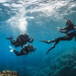 Try Scuba Diving from Boat in Budva - Budva Diving Center - The Location and How It All Comes Together