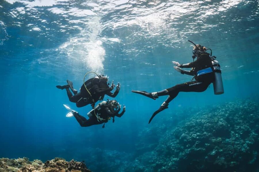 Try Scuba Diving from Boat in Budva - Budva Diving Center - The Location and How It All Comes Together
