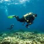 Try Scuba Diving in Cala d'Or  No Experience Needed - The Itinerary: What to Expect From Start to Finish
