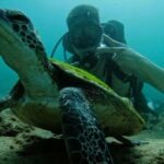 Try Scuba Diving & snorkeling with BBQ lunch in Fujairah - Practical Details and Logistics