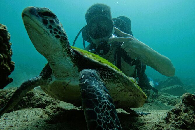 Try Scuba Diving & snorkeling with BBQ lunch in Fujairah - Practical Details and Logistics