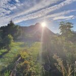 Tsitsikamma Wolf Sanctuary Guided Tour & Day Pass - Why This Tour Stands Out