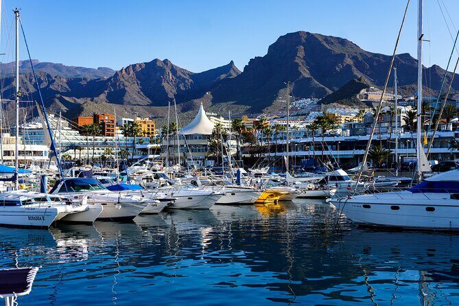 Tuk Tuk Tours in Costa Adeje - FAQ
