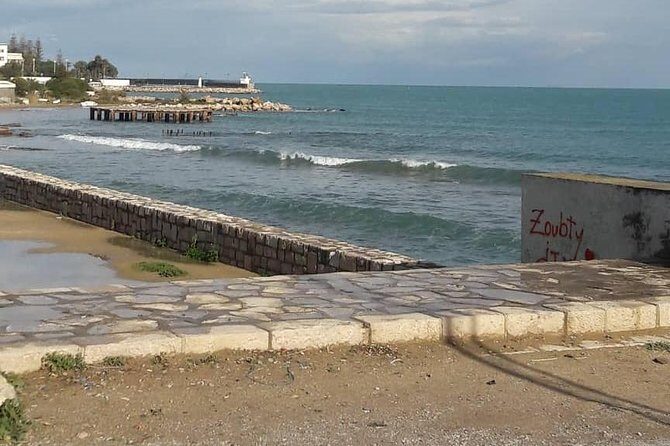 Tunis, Carthage and Sidi Bou Said Self-Guided Excursion from Hammamet - Who Should Book This Tour?