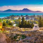 Tunis: Carthage, Bardo Museum, Sidi Bou Said & Medina Group Tour - Why This Tour Works Well