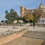 Tunis, Sidi Bousaid and Carthage day trip from Hammamet - Authentically Rich Experiences