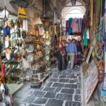 Tunis, Sidi Bousaid and Carthage Day Trip from Monastir - Who Will Love This Tour?