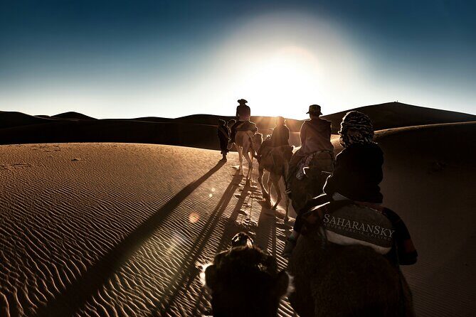 Tunisia Sahara Desert Camel Ride in Douz - The Sum Up