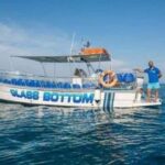 TURTLE BOAT TOUR - Who Is This Tour Best For?