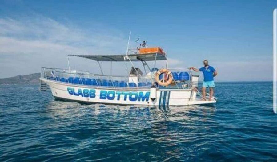 TURTLE BOAT TOUR - Who Is This Tour Best For?
