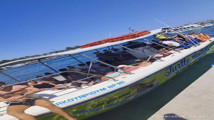 Turtle Cruise from 9 am or 12 noon or 3 pm for 3 hours - Who Should Consider This Tour?