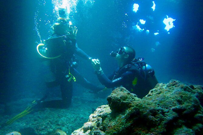 Turtle & Shark Scuba Dive in Lahaina: Certified - The Real Value: Is it Worth It?