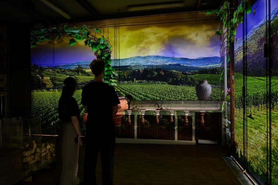 Tuscany: Immersive Winery + tasting (4 wines) - Final Words