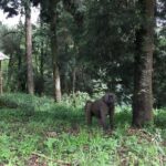 Two days Lake Wenchi and Menagesha Forest - Authentic Experiences and What Travelers Say