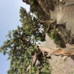 two days valley trek in the Atlas mountains - Practical Details and Tips