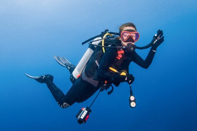 Two Dives for certified divers in Fujairah - Why This Tour Offers Great Value
