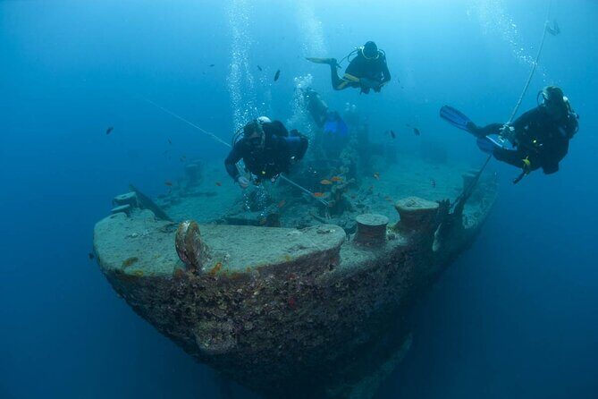 Two dives For Professional Divers Full Day Trip Wreck SCUBA equipment - Hurghada - What Makes This Tour a Good Value