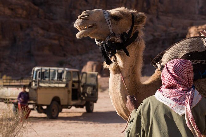 Two-Hour Jeep Safari "Wadi Rum Highlights!" w/ Professional Guide - Final Thoughts: Why Choose This Tour?