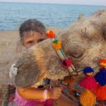 Two hours Camel Riding At Amazing Desert With Transfer - Marsa Alam - The Sum Up