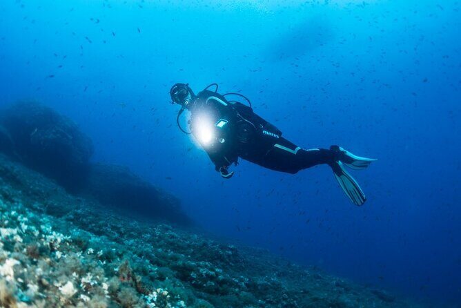 Two Morning Dives in Gozo for Certified Diver - FAQs