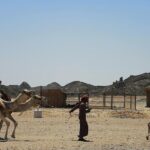 Ultimate Desert Experience - Seamless Pickup and Transportation