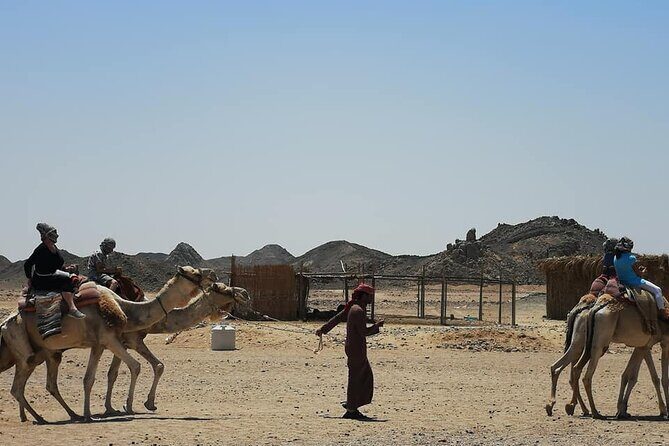 Ultimate Desert Experience - Seamless Pickup and Transportation