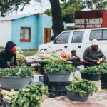 Ultimate Port Elizabeth Tour - Who Should Consider This Tour?
