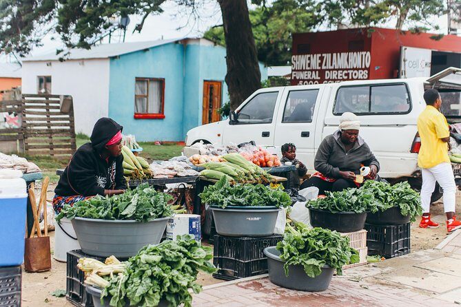 Ultimate Port Elizabeth Tour - Who Should Consider This Tour?