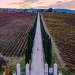 Umbria: Guided wine tasting ColSanto - The Location and Setting