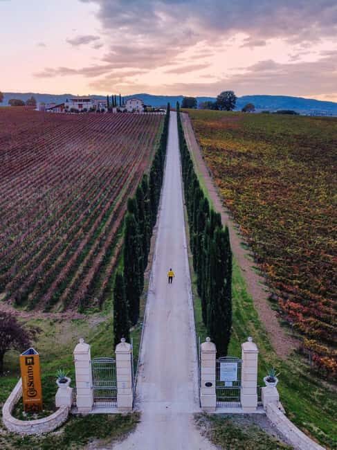 Umbria: Guided wine tasting ColSanto - The Location and Setting