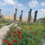 Umm Qais, Jerash & Ajloun Castle Day Tour from Amman - In Summary: Who is This Tour Best For?
