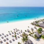 Unforgettable Tanzania Safari And Zanzibar Beach - The Value of the Tour