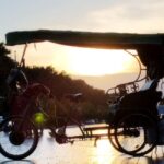Unic Berlin (Multi) Rickshaw Private by Night Taylor Made - Analyzing the Value