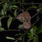 Unique Madagascar - Authentic Experiences and Interesting Insights