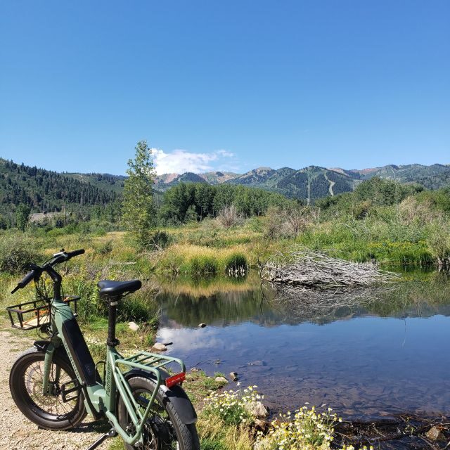Urban Art and Historical Electric Bike Tour - An In-Depth Look at the Electric Bike Tour